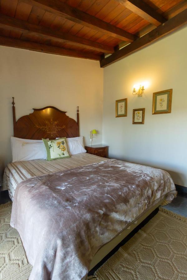 Quintal De Alem Do Ribeiro-Turismo Rural Lousã Екстериор снимка