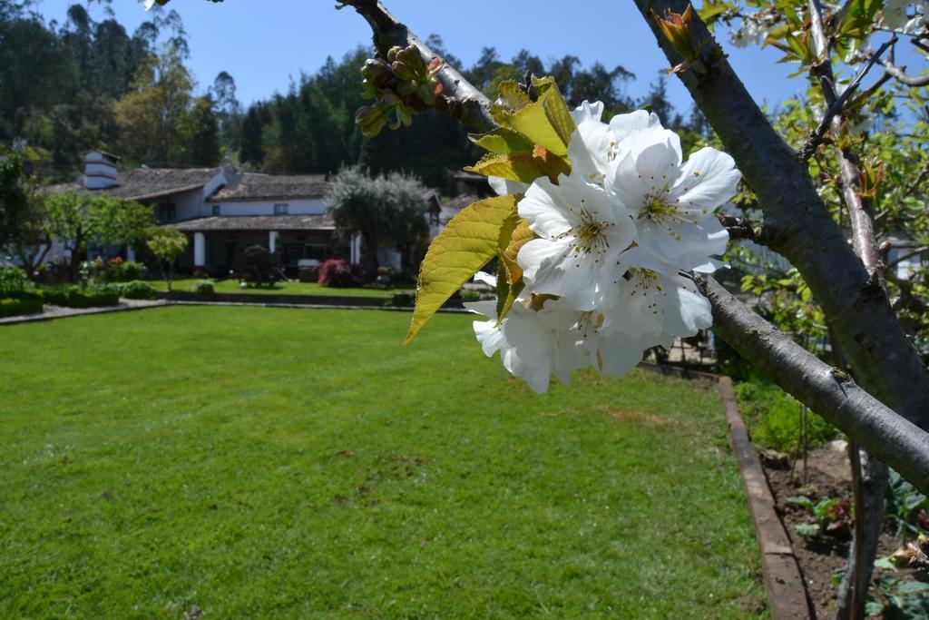 Quintal De Alem Do Ribeiro-Turismo Rural Lousã Екстериор снимка