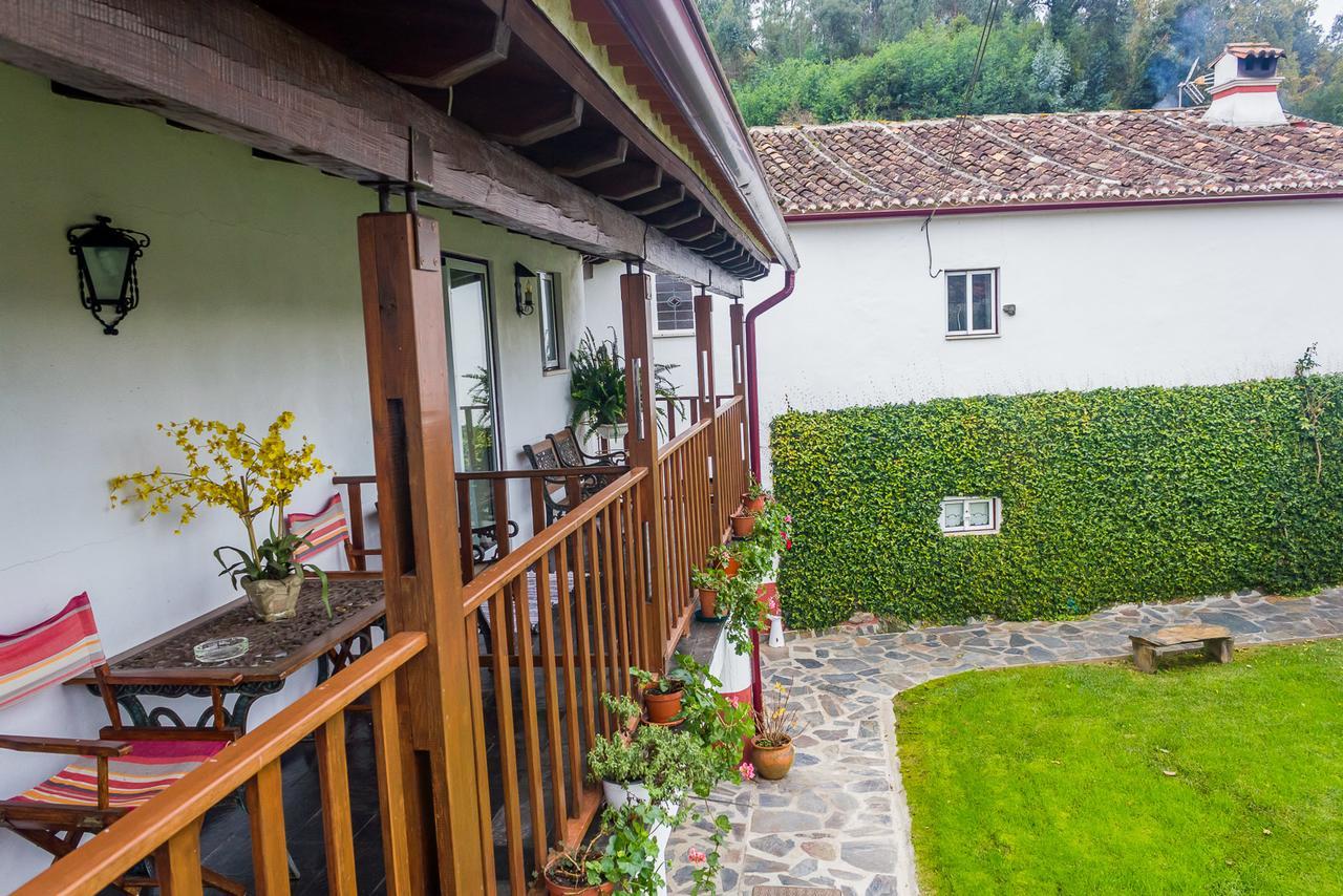 Quintal De Alem Do Ribeiro-Turismo Rural Lousã Екстериор снимка