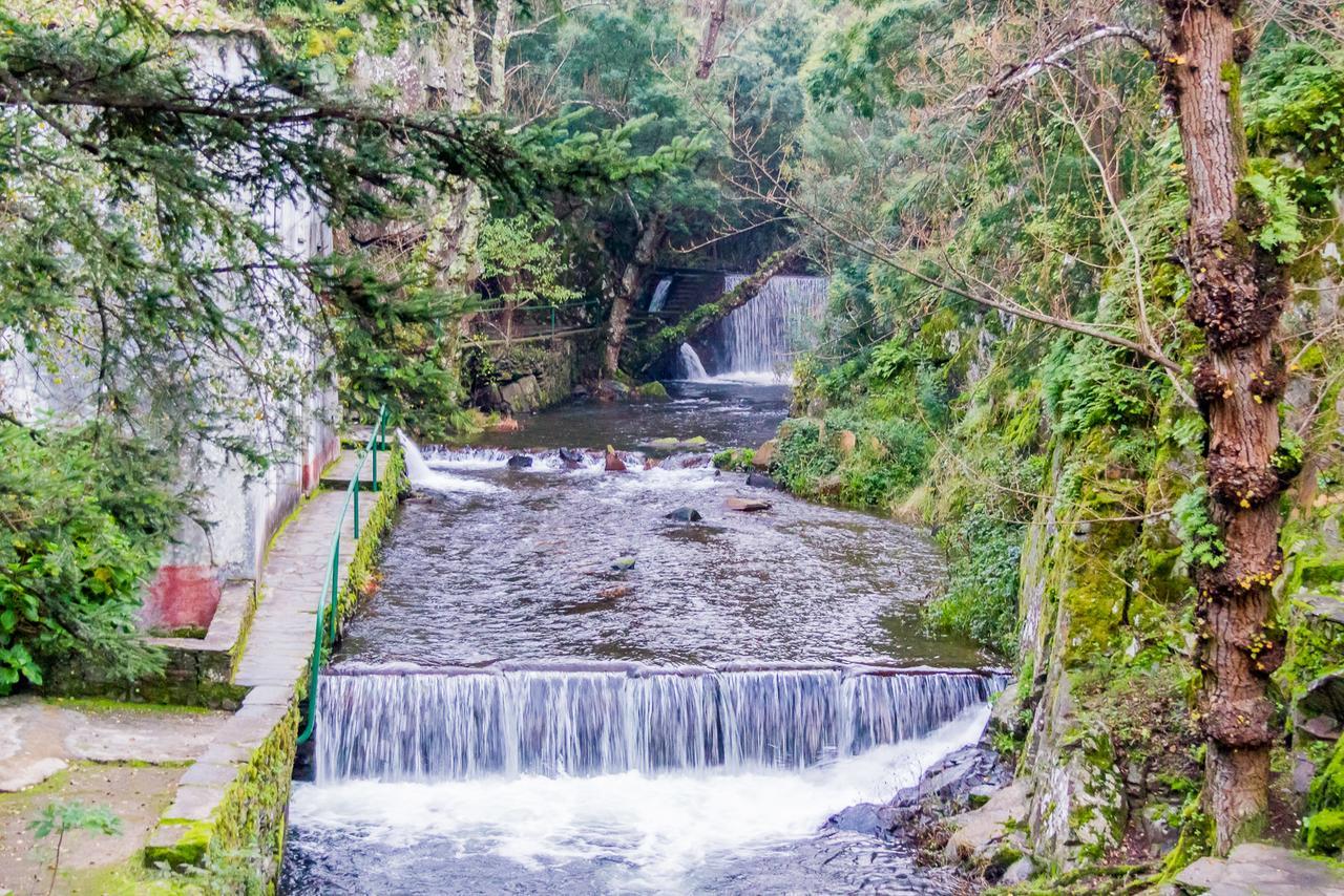 Quintal De Alem Do Ribeiro-Turismo Rural Lousã Екстериор снимка