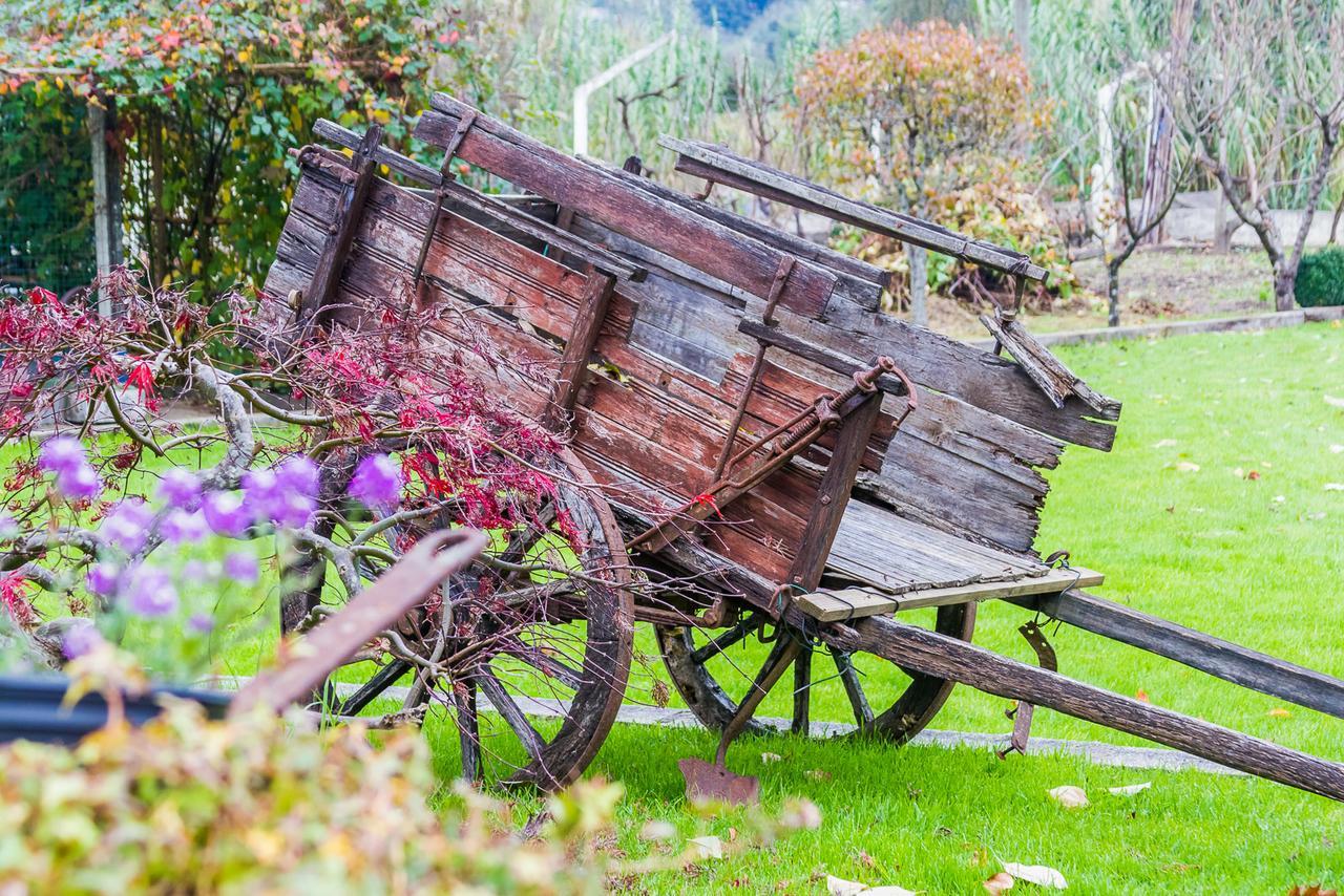 Quintal De Alem Do Ribeiro-Turismo Rural Lousã Екстериор снимка