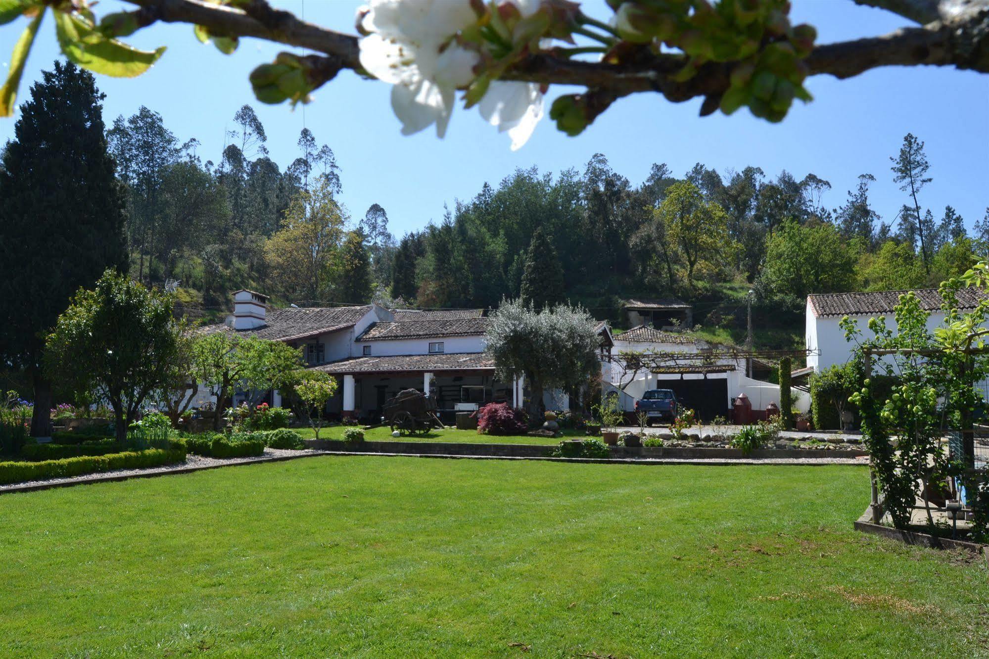 Quintal De Alem Do Ribeiro-Turismo Rural Lousã Екстериор снимка